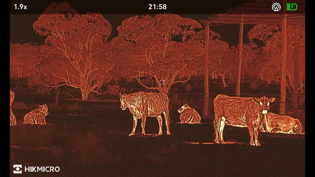 Thermal image showing cows in a paddock during livestock monitoring